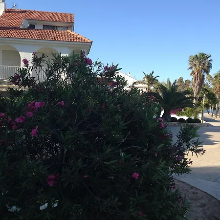 Ornis Platja Appartement
