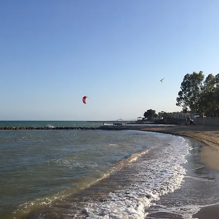 Ornis Platja Sant Carlos de la Ràpita